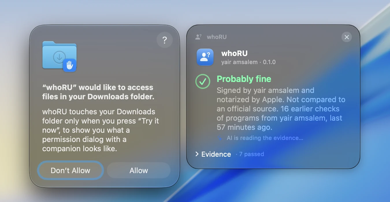 A real macOS permission dialog for whoRU itself, with the whoRU companion panel beside it already showing a green “Probably fine” verdict